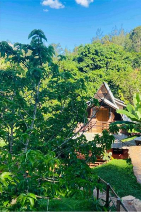 El campo en Jarabacoa
